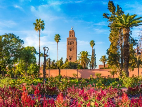 Rundreisen Marokko: Flexible Mietwagen-Rundreise ab Marrakesch bis Casablanca: Marokkos Höhepunkte Unkategorisiert online kaufen Rundreisen Marokko: Flexible Mietwagen-Rundreise ab Marrakesch bis Casablanca: Marokkos Höhepunkte Unkategorisiert online kaufen